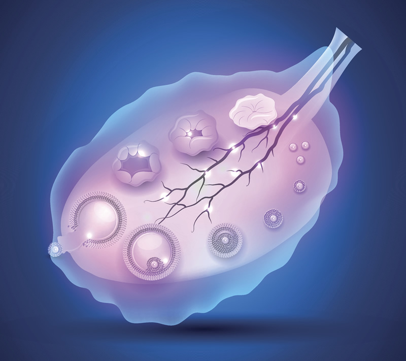 贵阳死精症试管婴儿医院与男科名医推荐：附本地、费用及医生专长解析